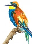 painting of kingfisher