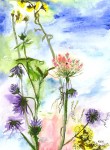 painting of wildflowers
