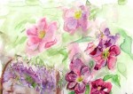 painting of clematis