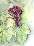 painting of bunch of grapes
