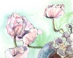 painting of poppies